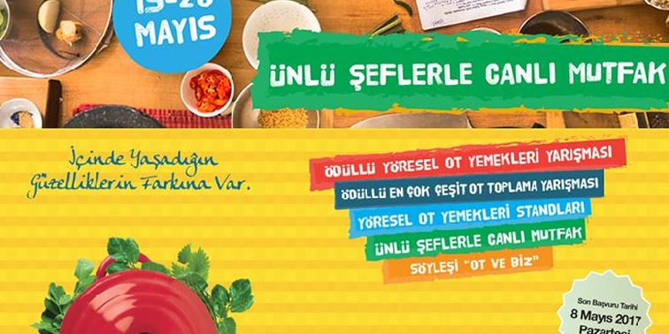 Yöresel Ot Festivali